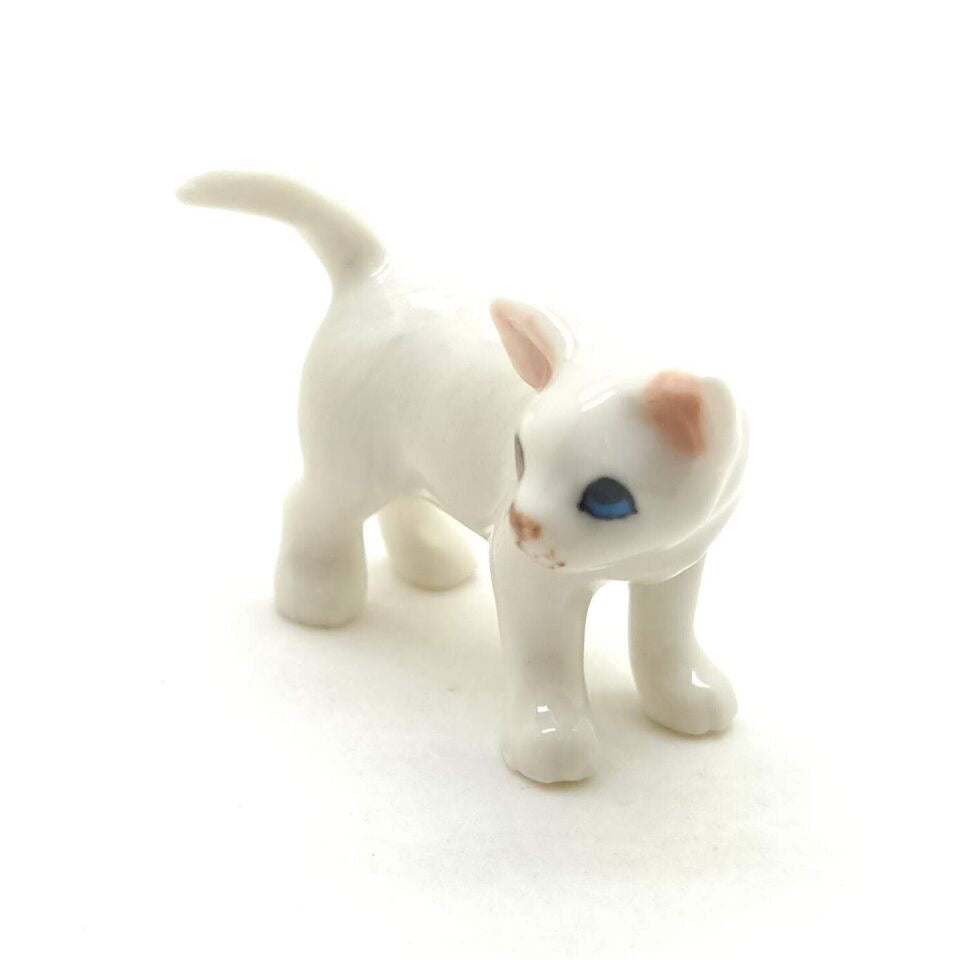 Kitten Cat