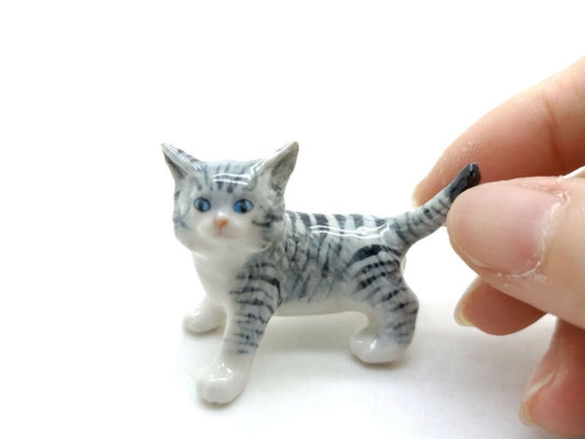Grey Kitten Cat