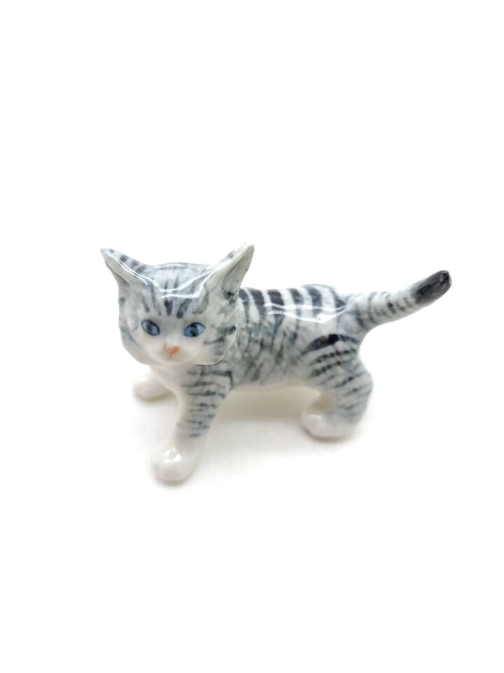 Grey Kitten Cat