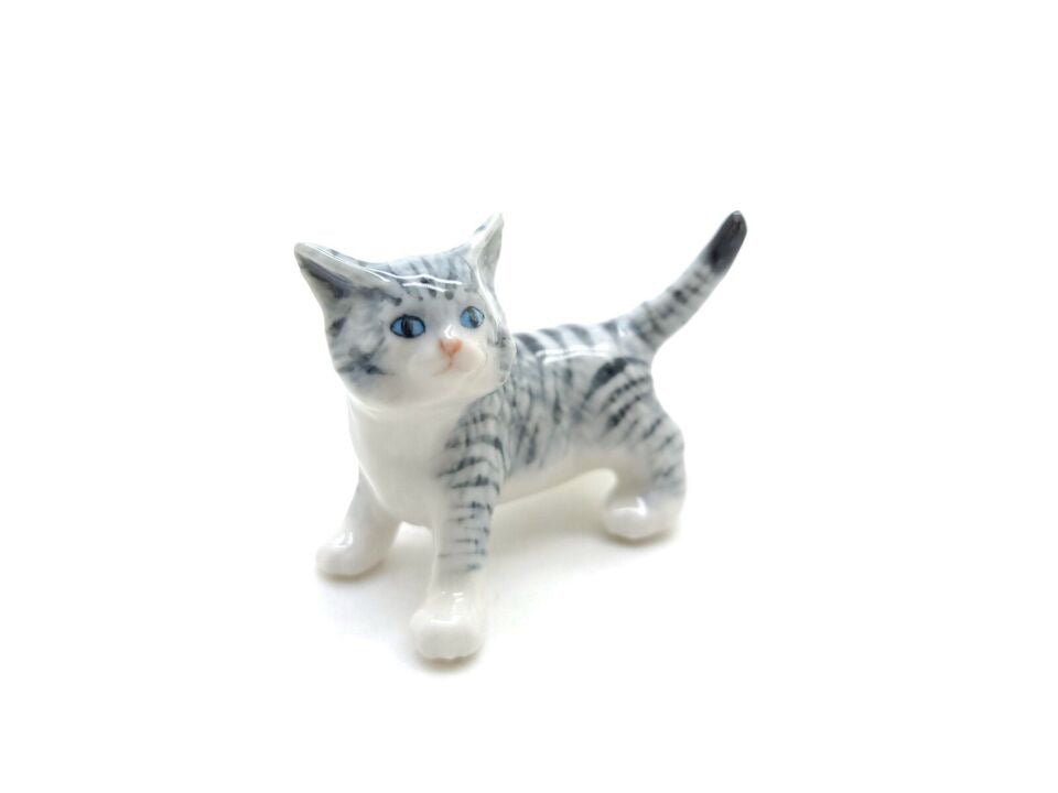 Grey Kitten Cat