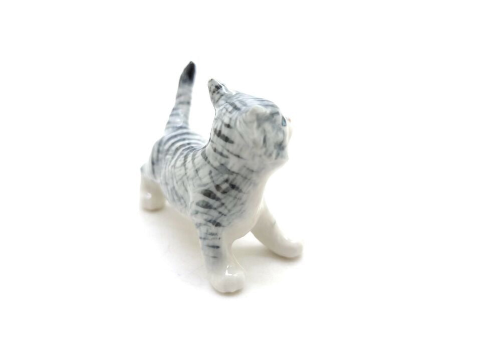 Grey Kitten Cat