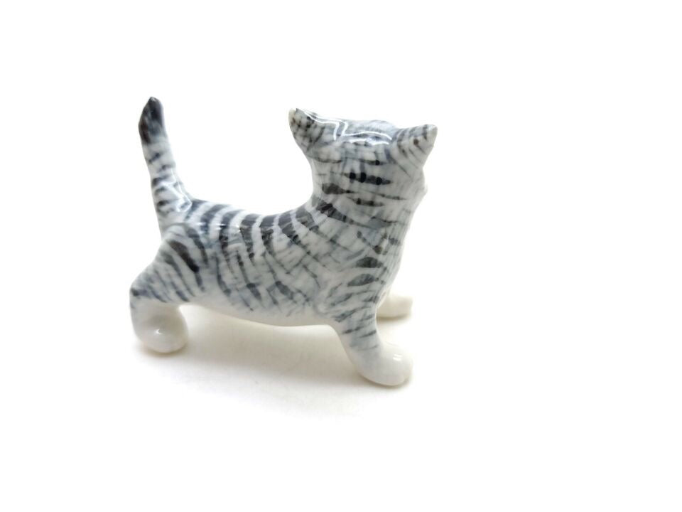 Grey Kitten Cat