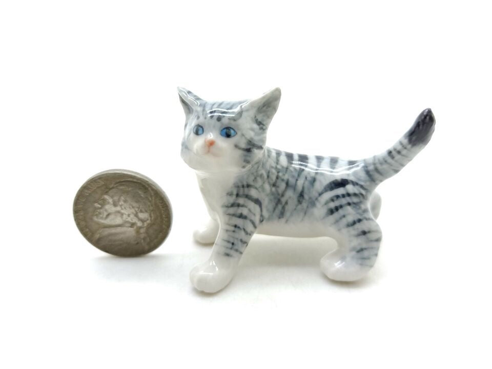 Grey Kitten Cat