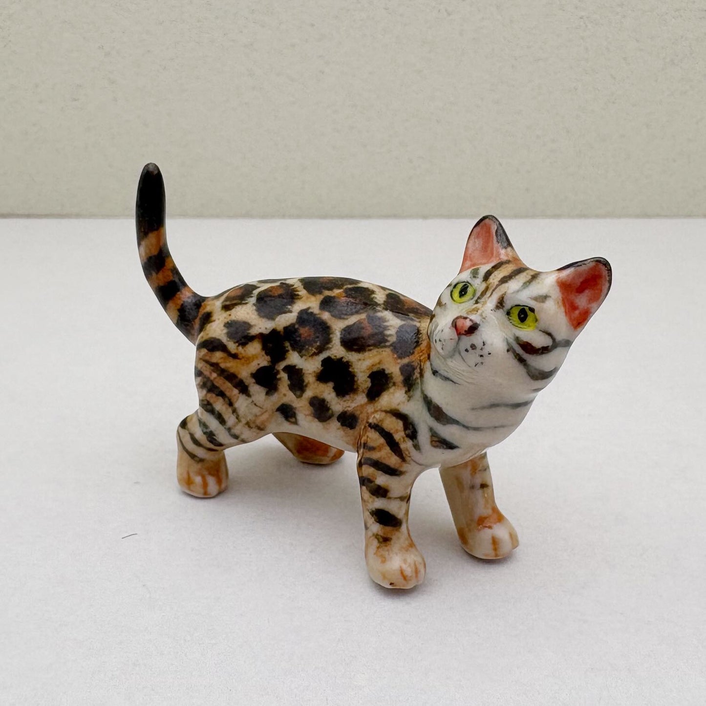 Wild Duo: The Bengal Beauties