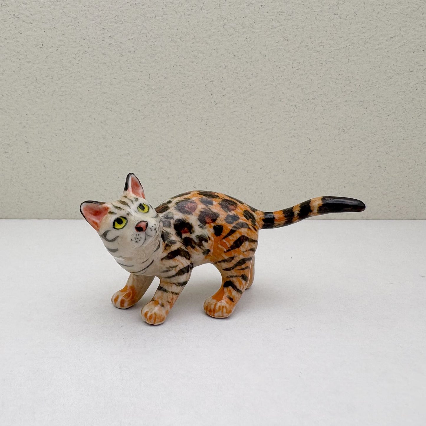 Wild Duo: The Bengal Beauties