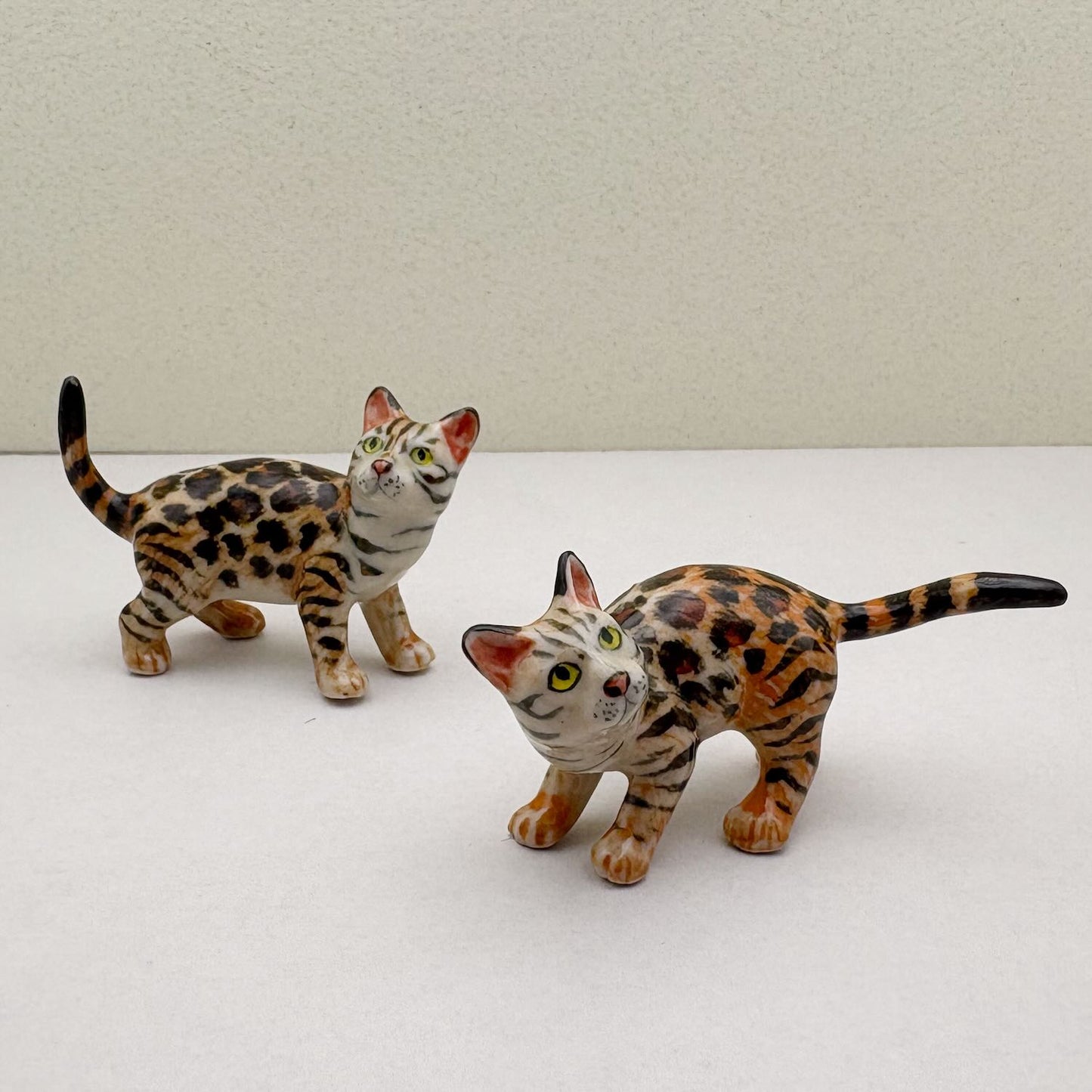 Wild Duo: The Bengal Beauties