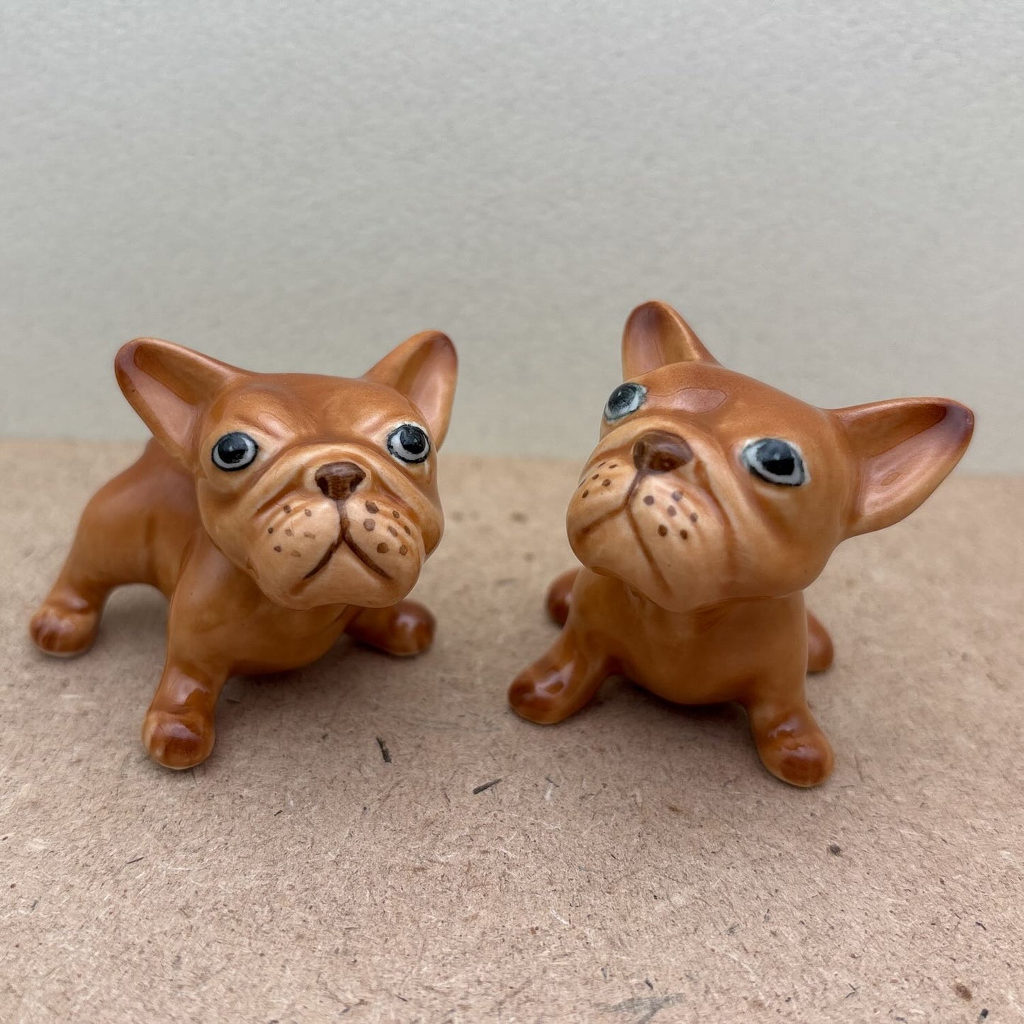 2 French Bulldogs