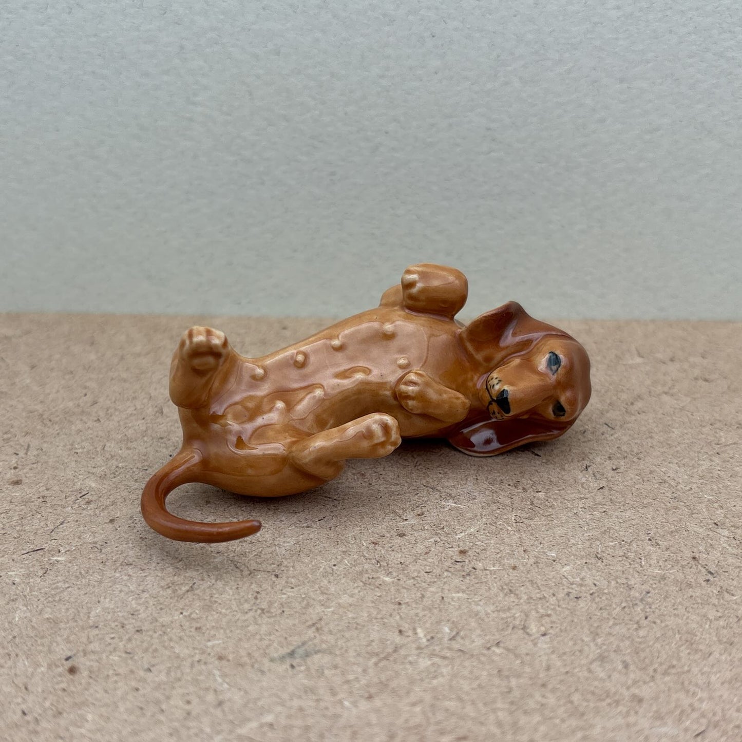 Adorable Dachshund Collection