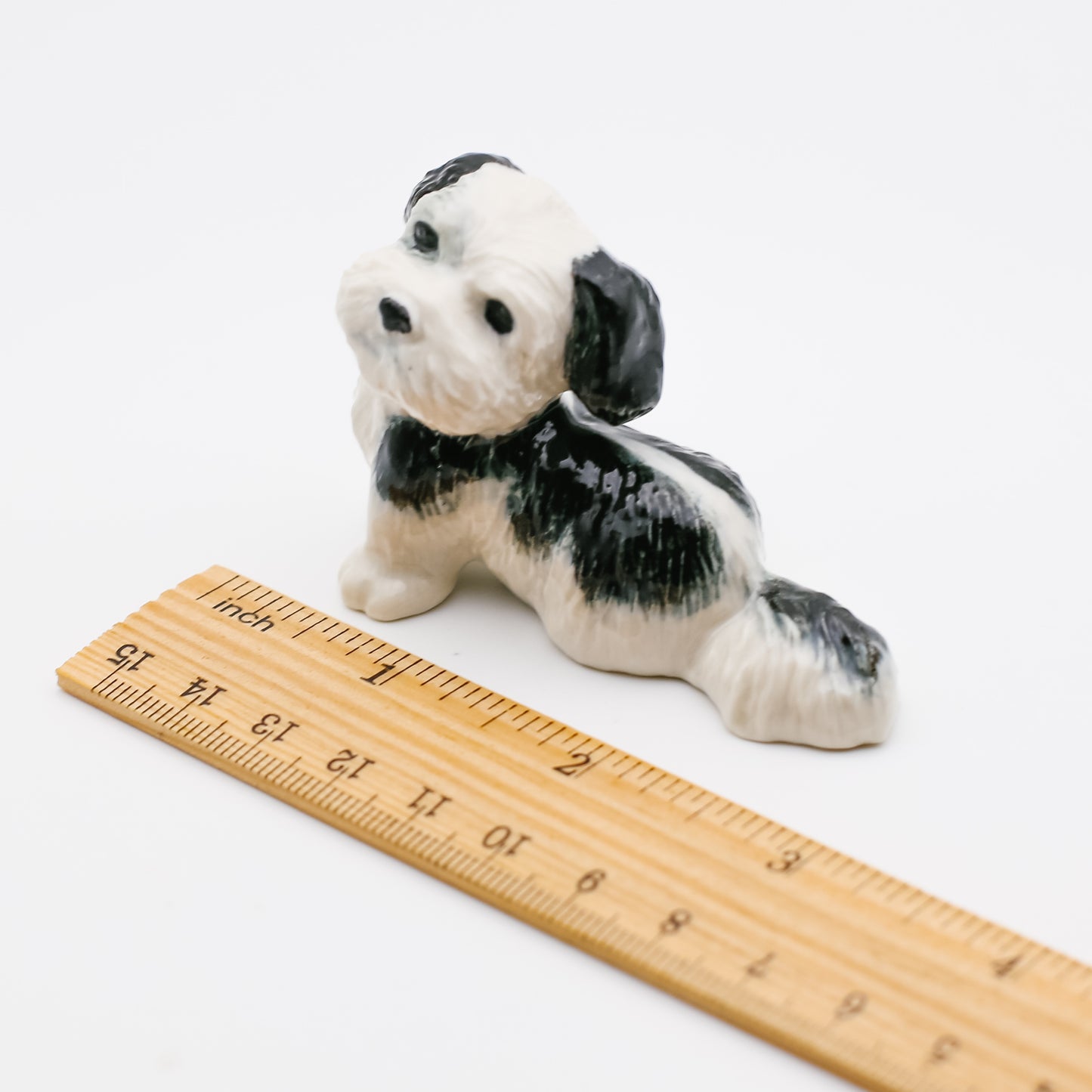 2 Shih Tzu