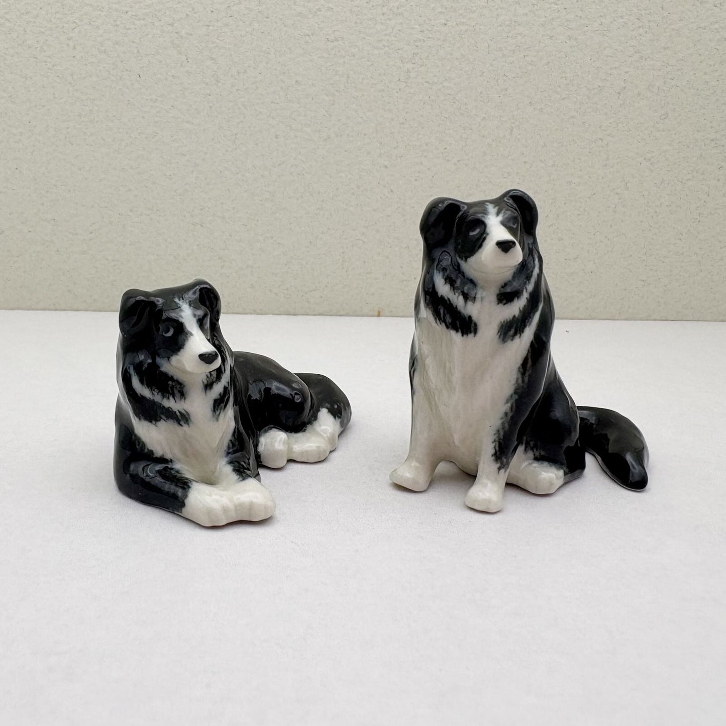 Border Collie Duo