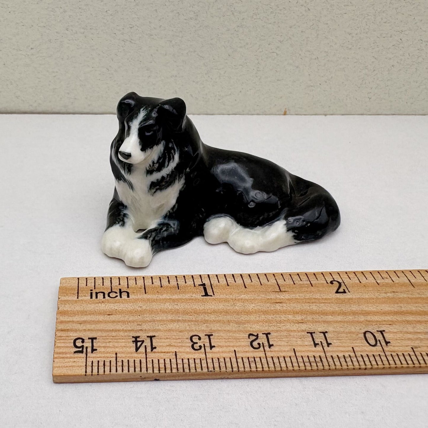 Border Collie Duo