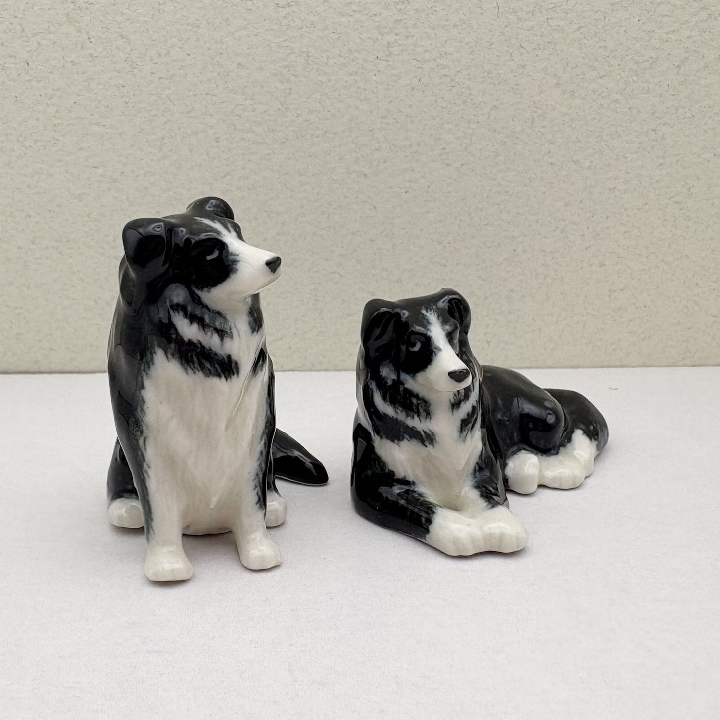 Border Collie Duo