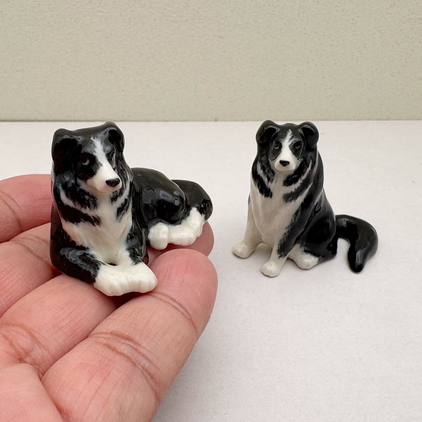 Border Collie Duo