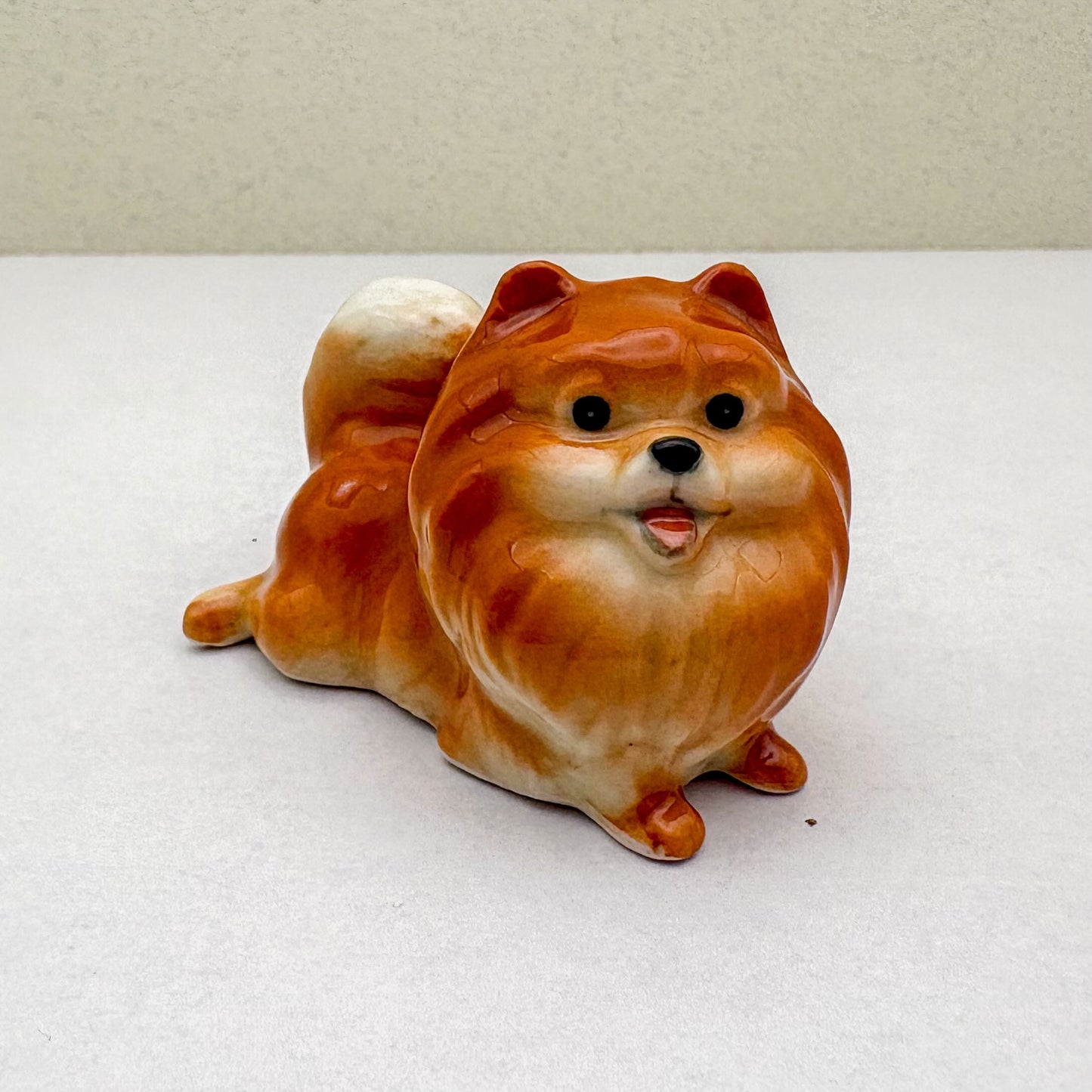Orange Pomeranian