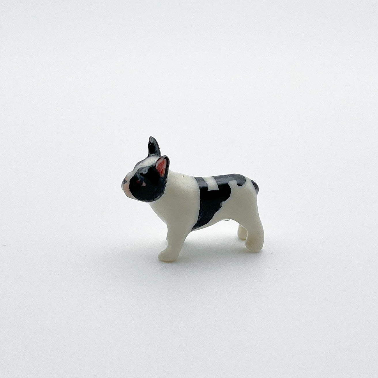 Tiny French Bulldog