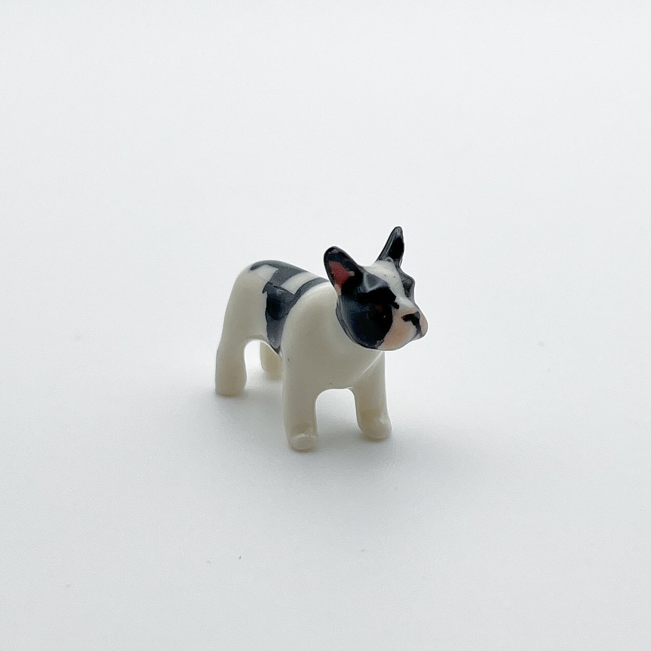 Tiny French Bulldog