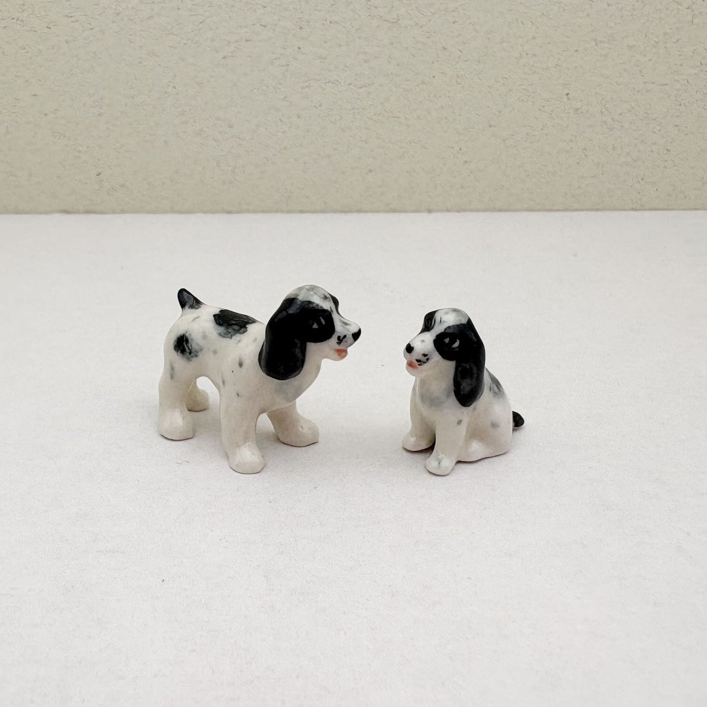 Springer Spaniel Duo