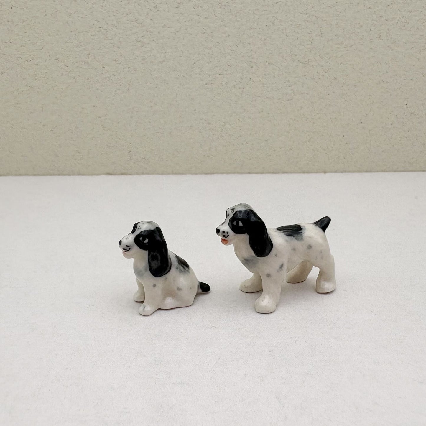 Springer Spaniel Duo