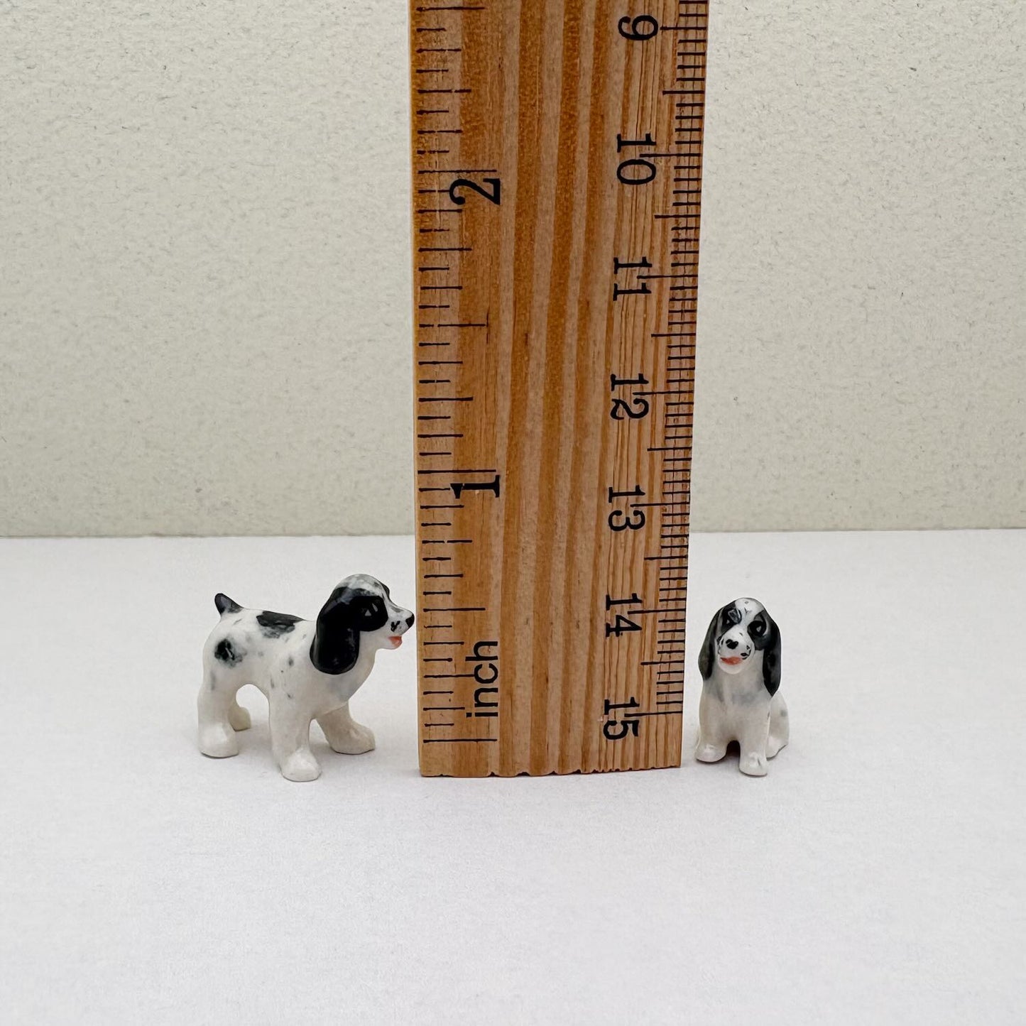 Springer Spaniel Duo