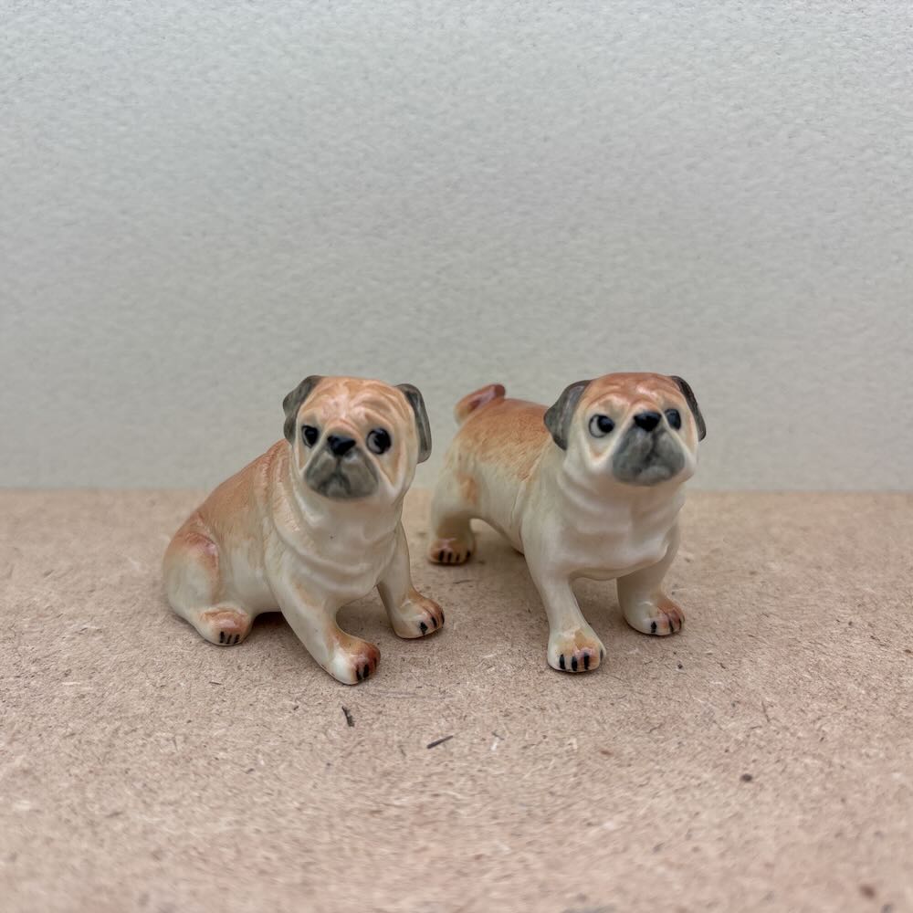 Pug Pals