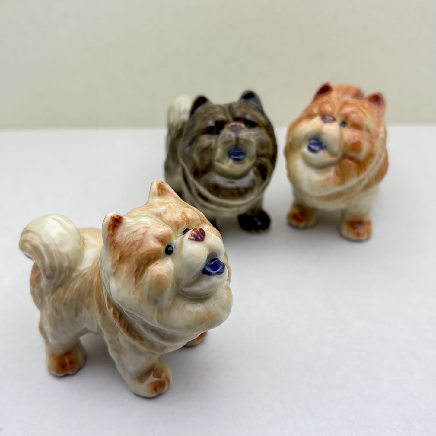 Chow Chow
