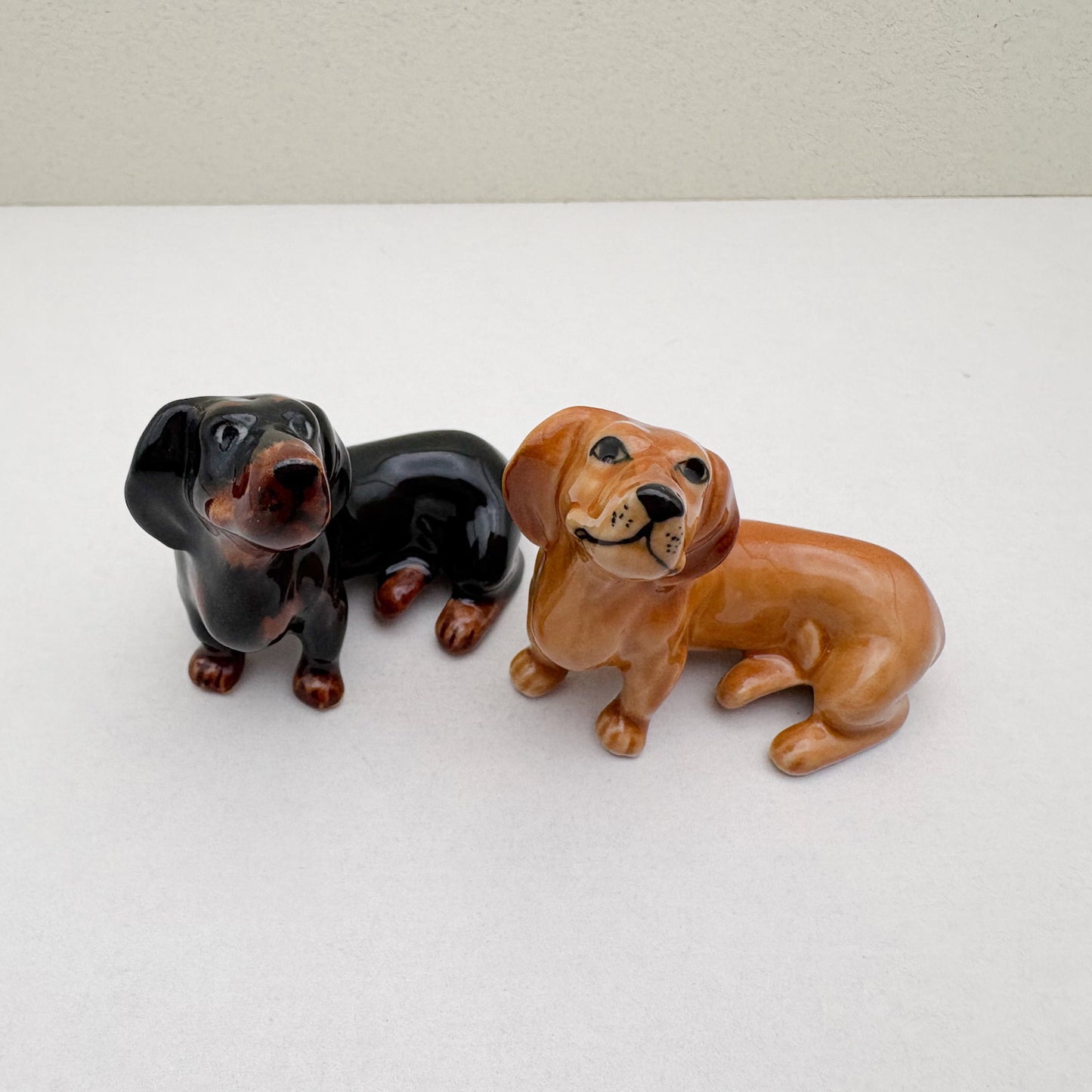 Dachshund Pup