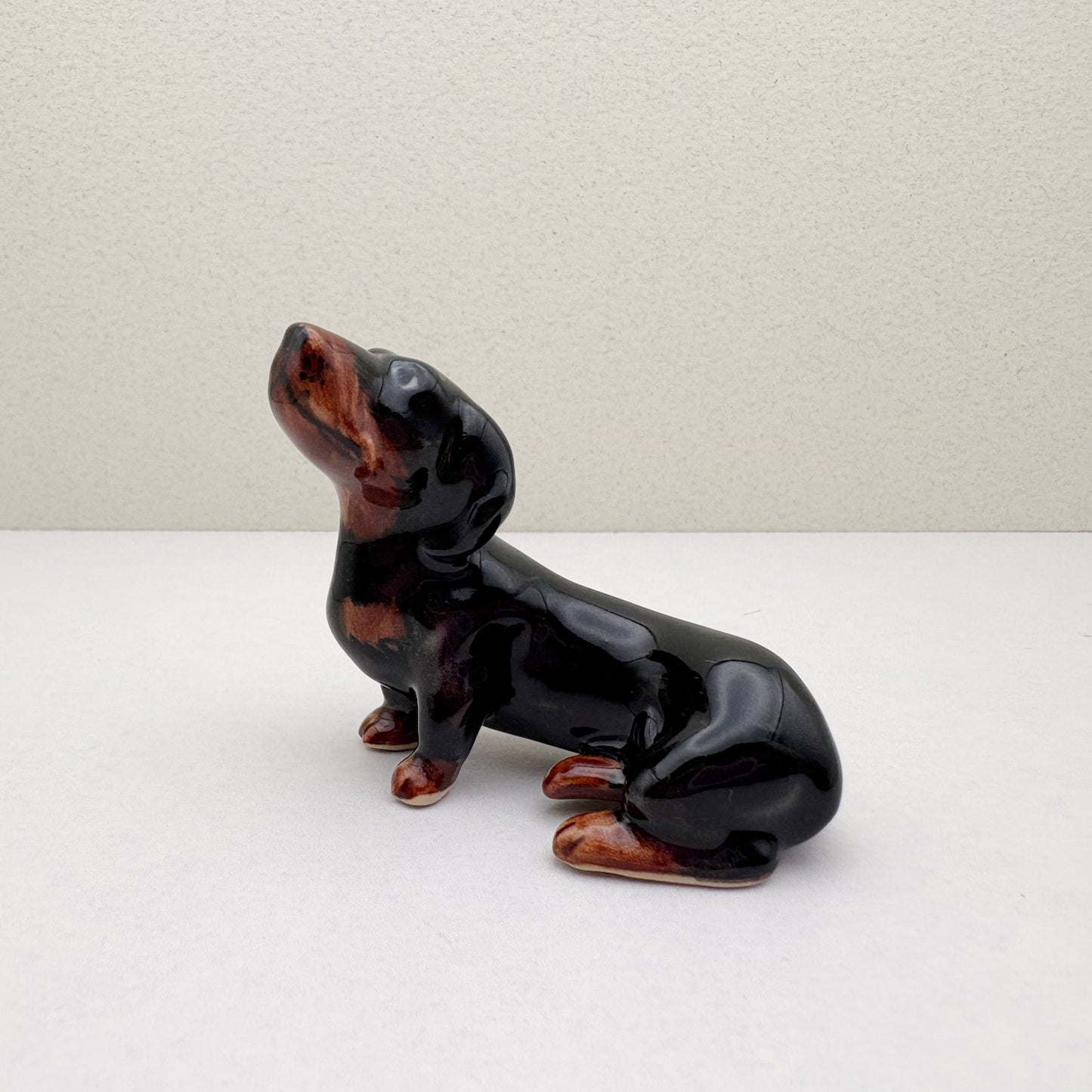Dachshund Pup
