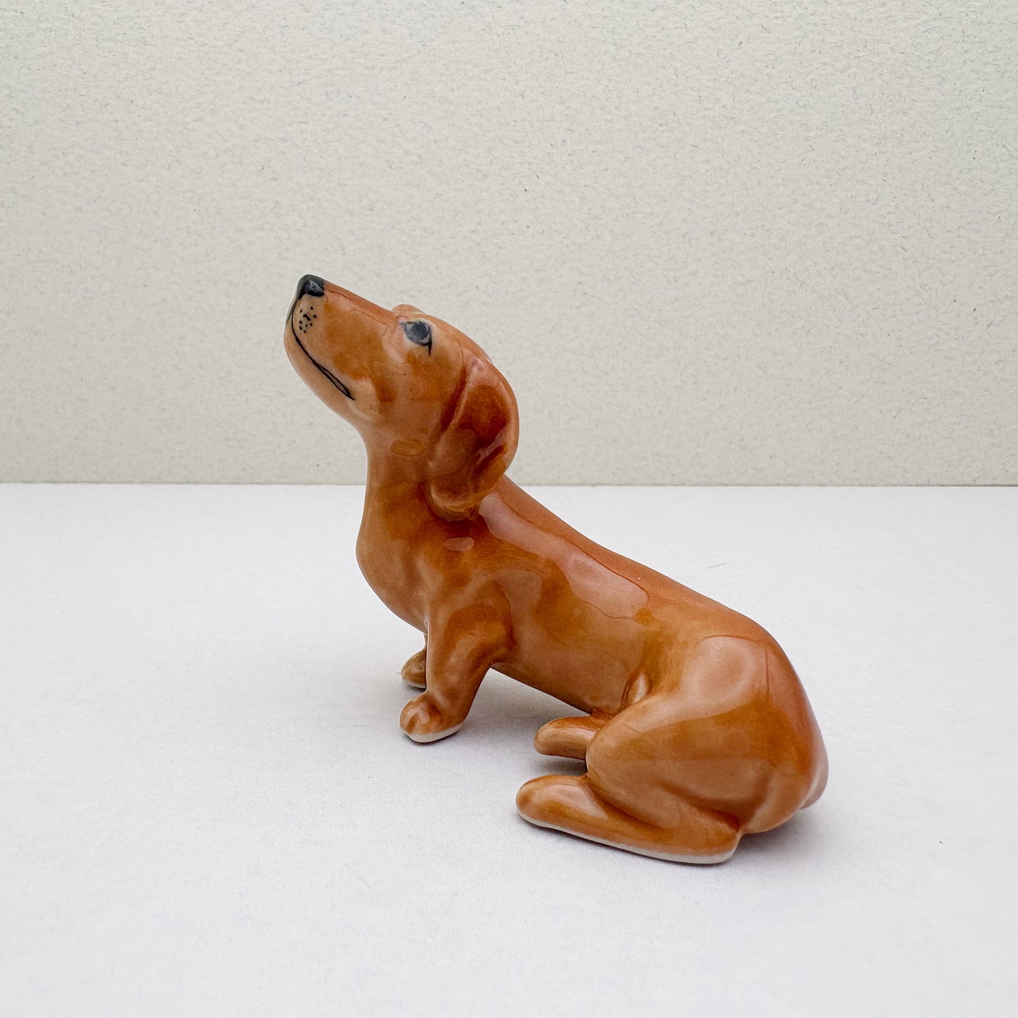 Dachshund Pup