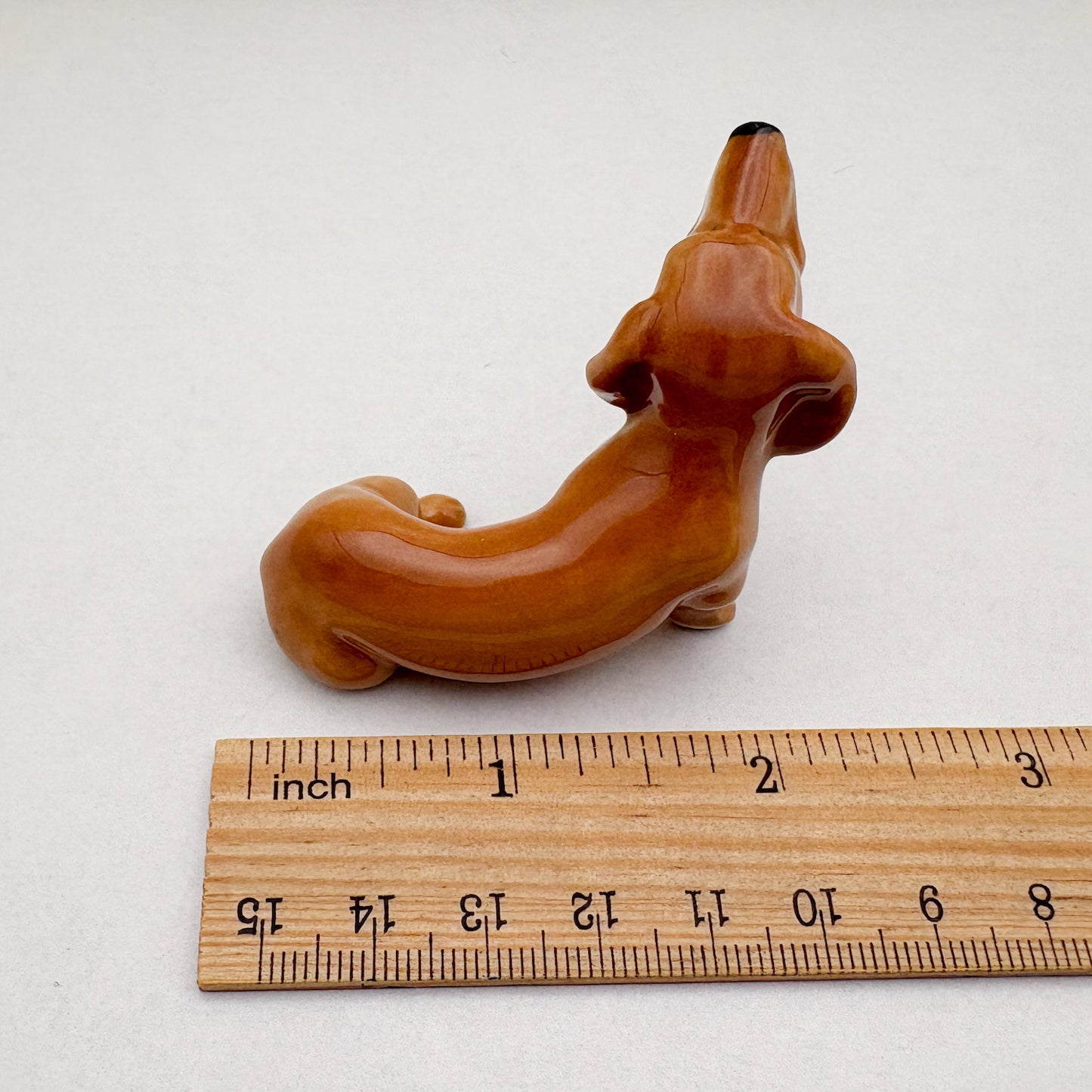 Dachshund Pup