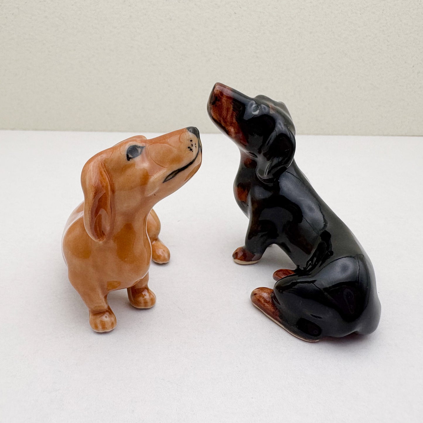 Dachshund Pup