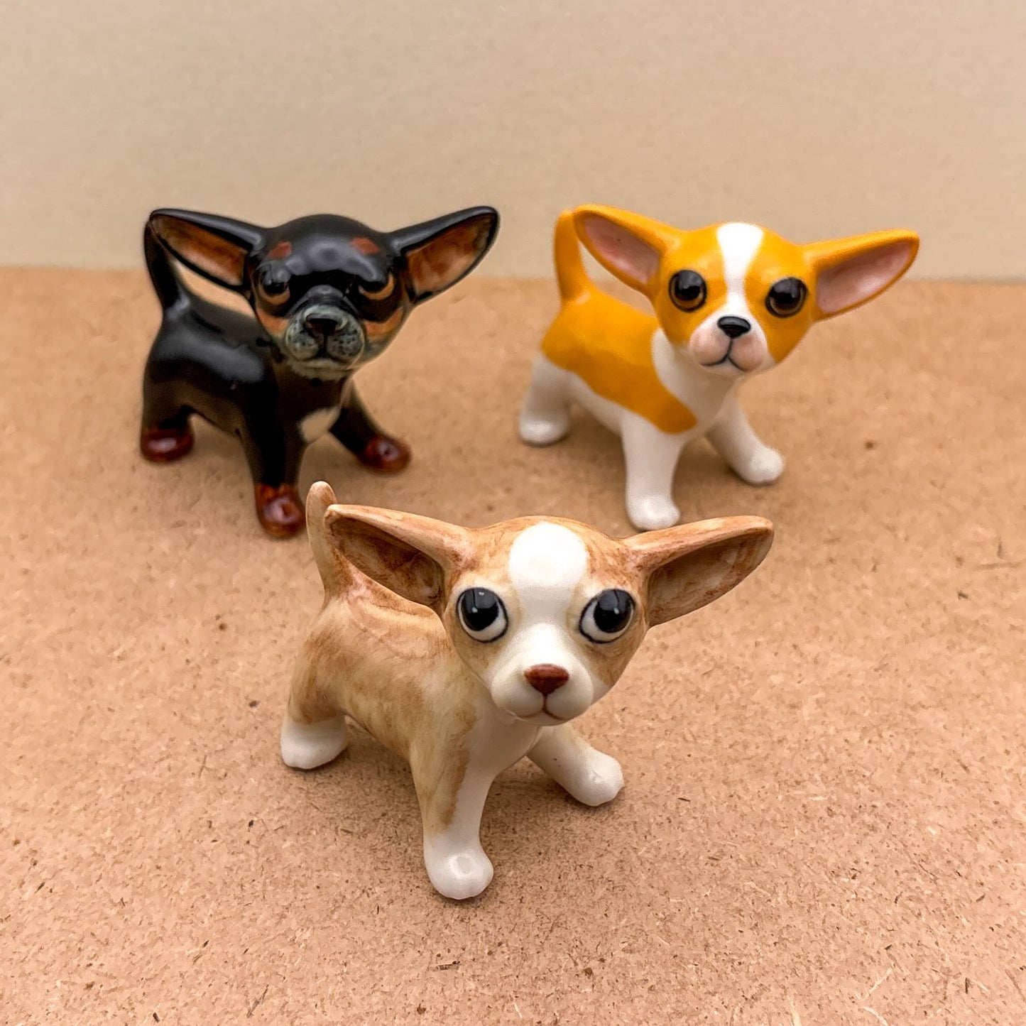 Chihuahua