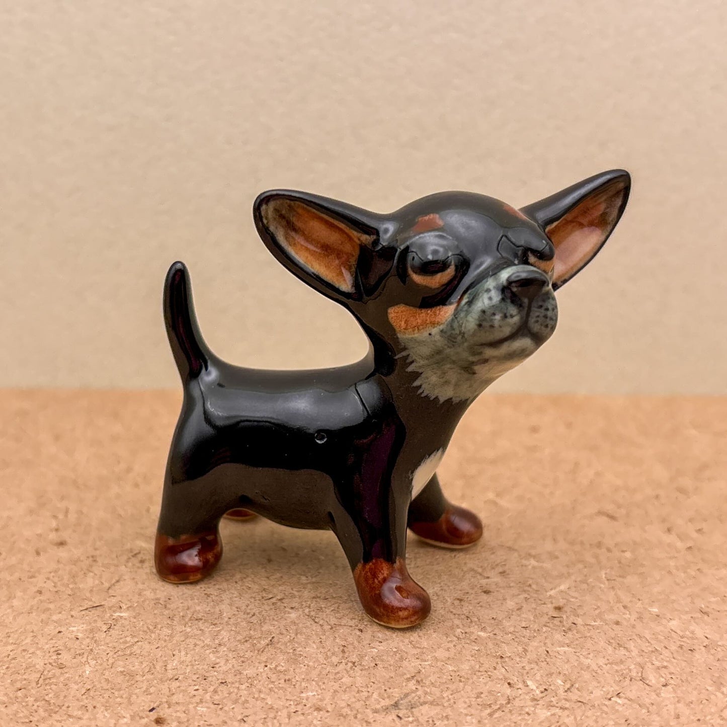Chihuahua