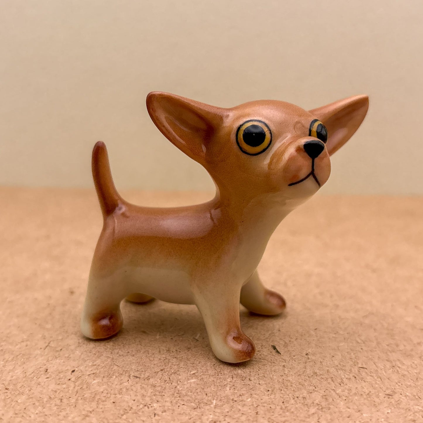 Chihuahua