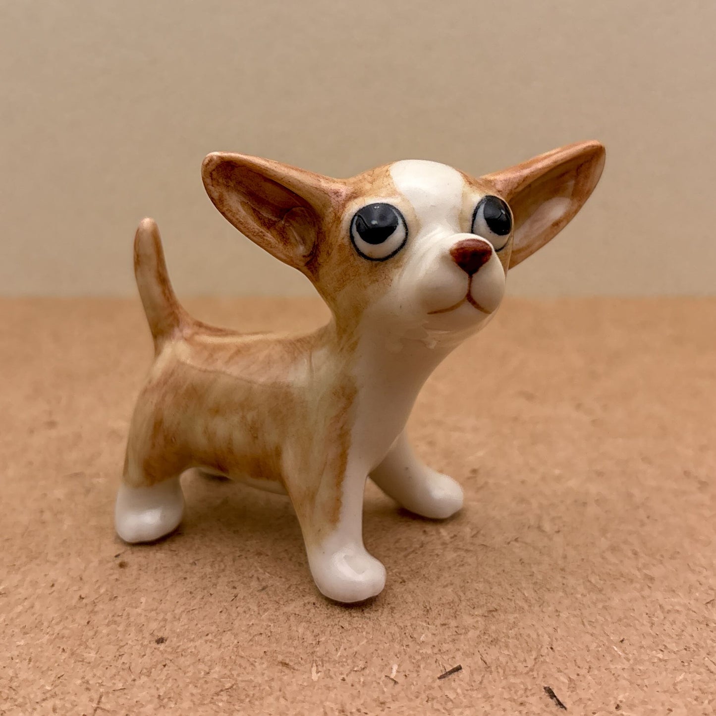 Chihuahua
