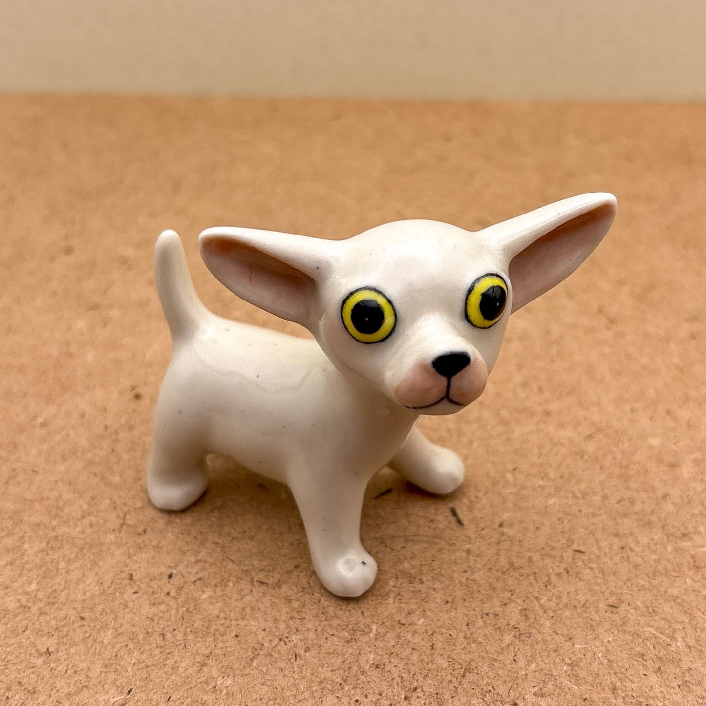 Chihuahua