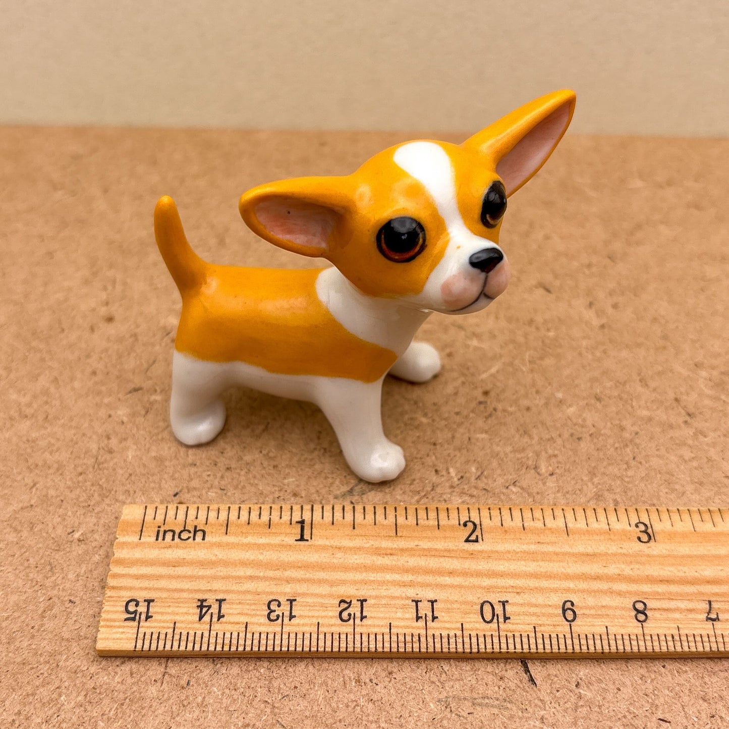 Chihuahua