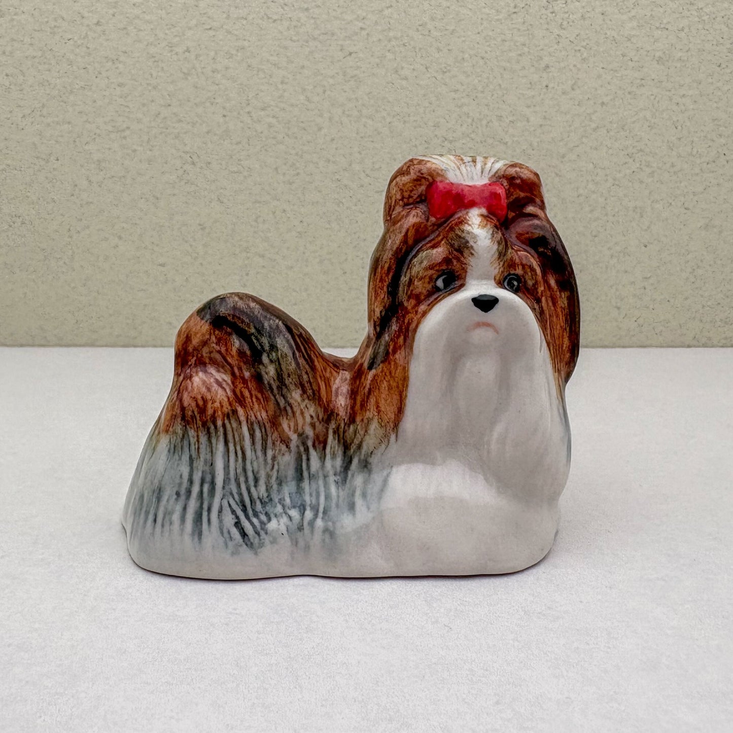 Charming Shih Tzu