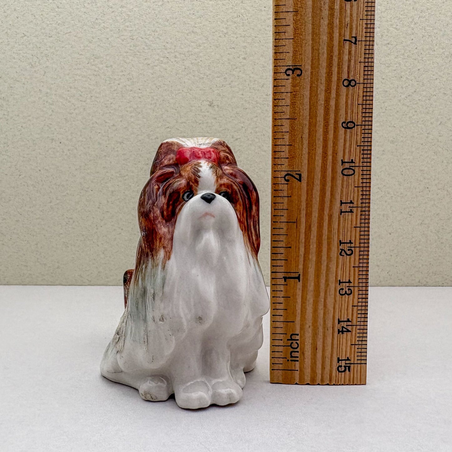 Charming Shih Tzu
