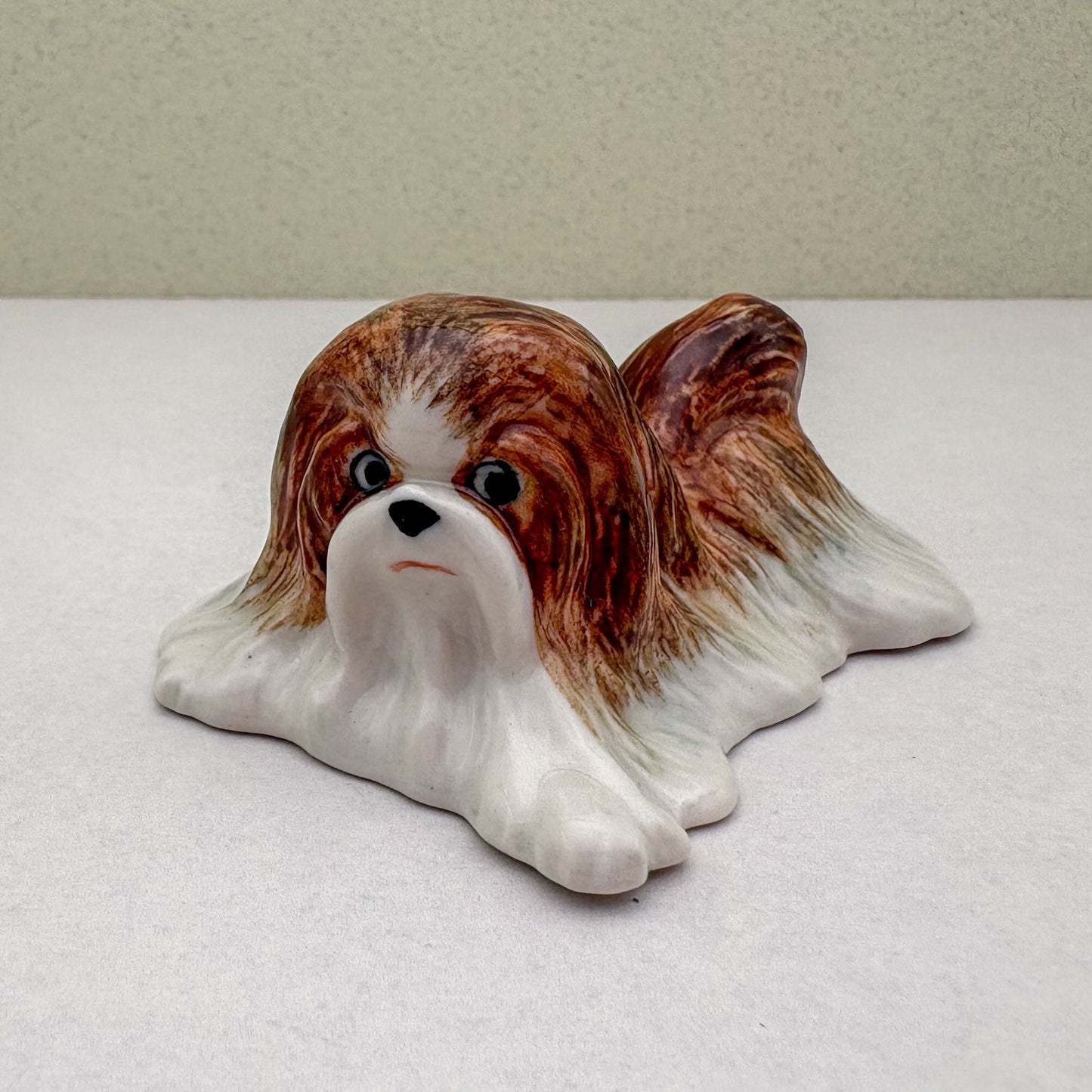 Charming Shih Tzu