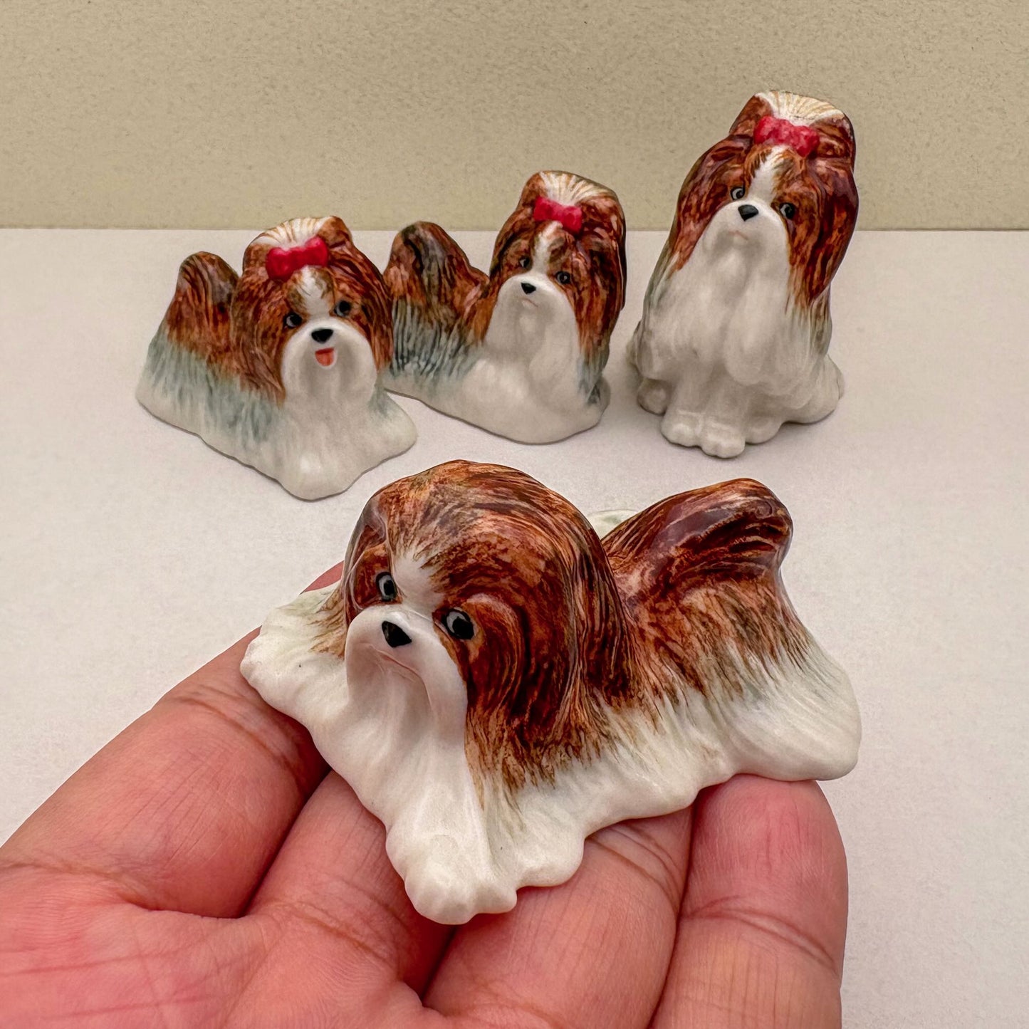 Charming Shih Tzu