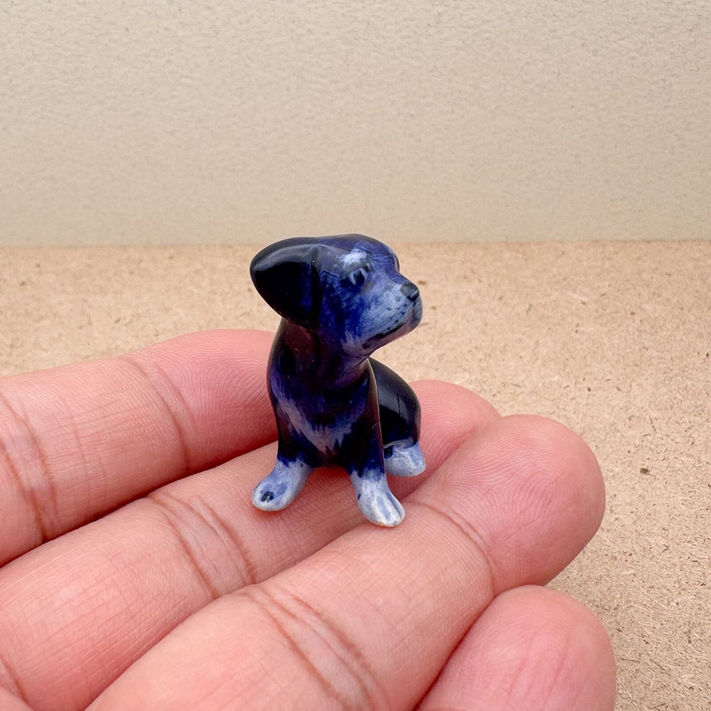 Midnight Pup