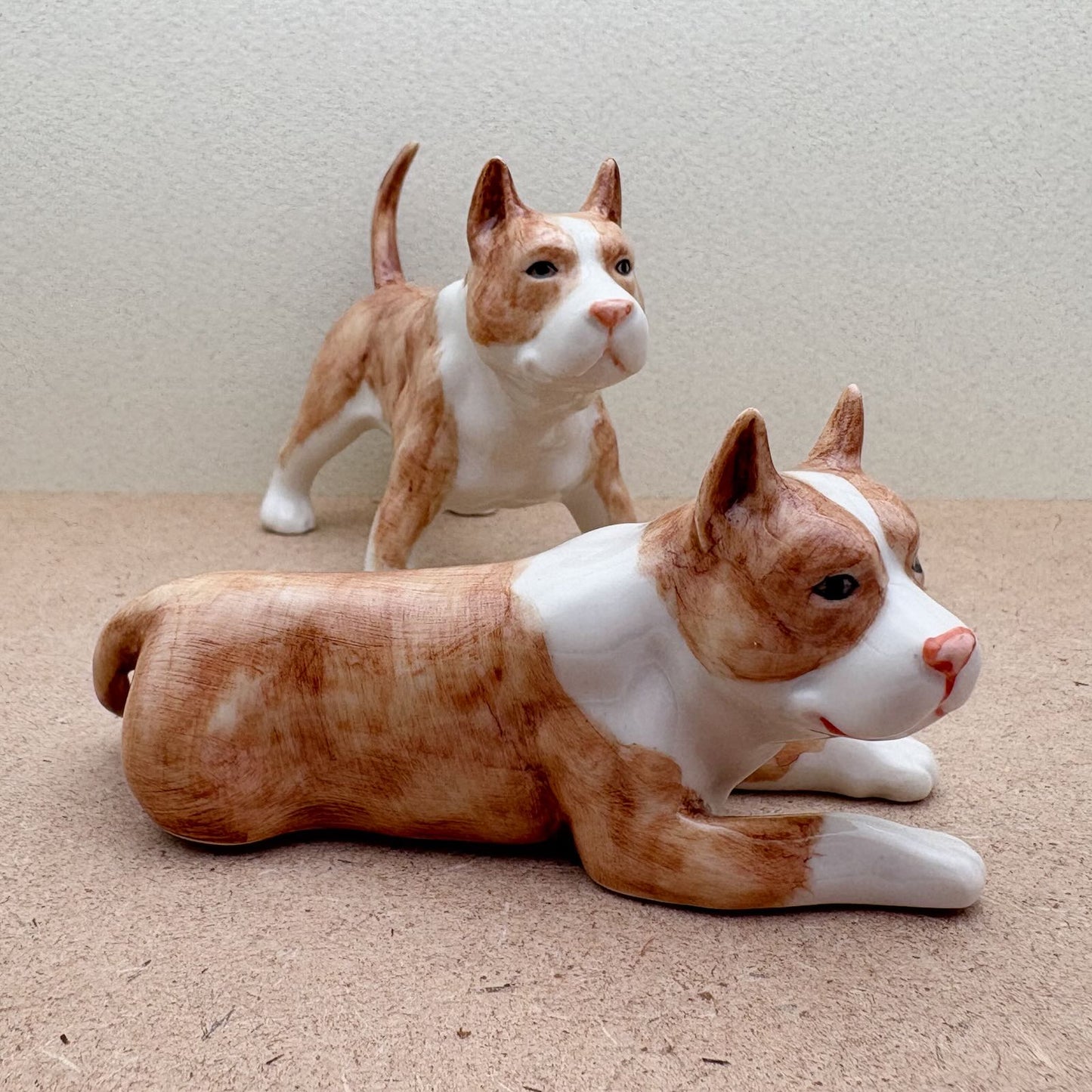 Charming Pit Bull Duo