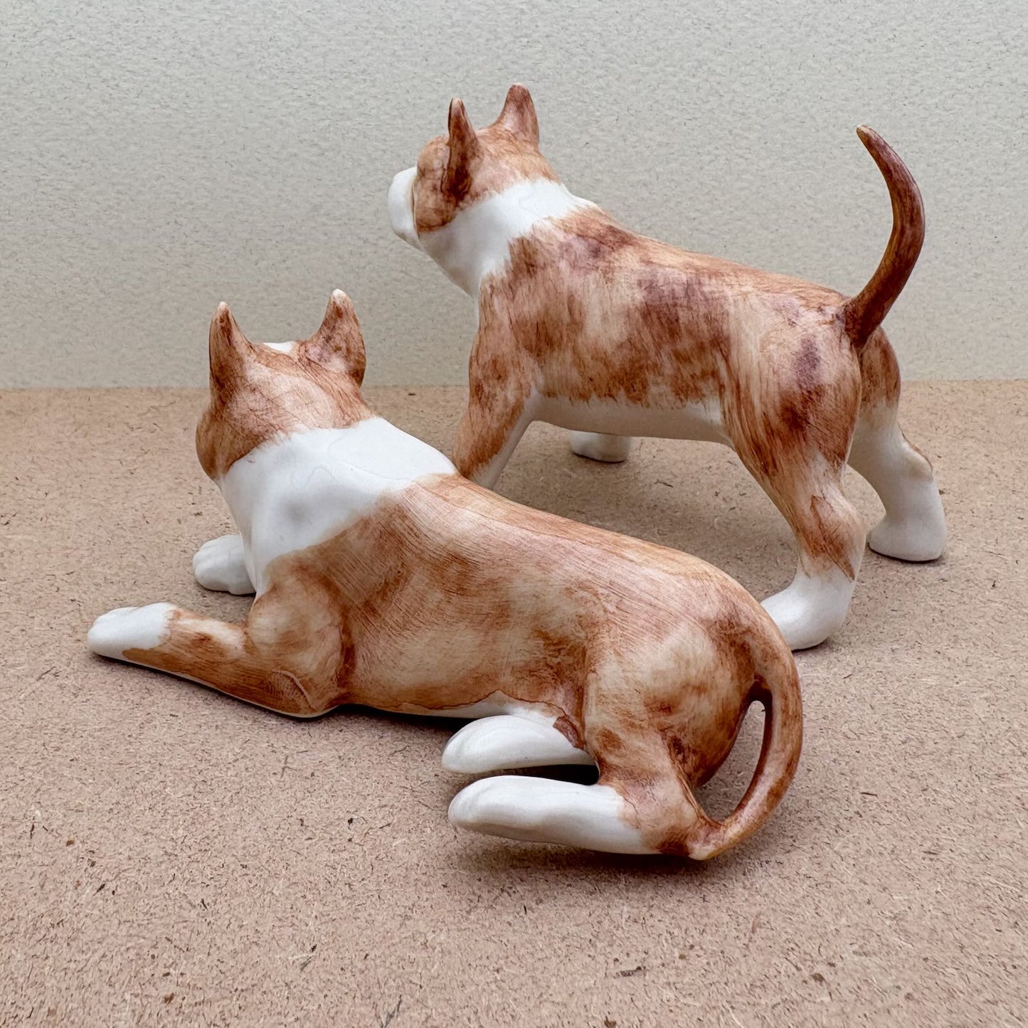 Charming Pit Bull Duo
