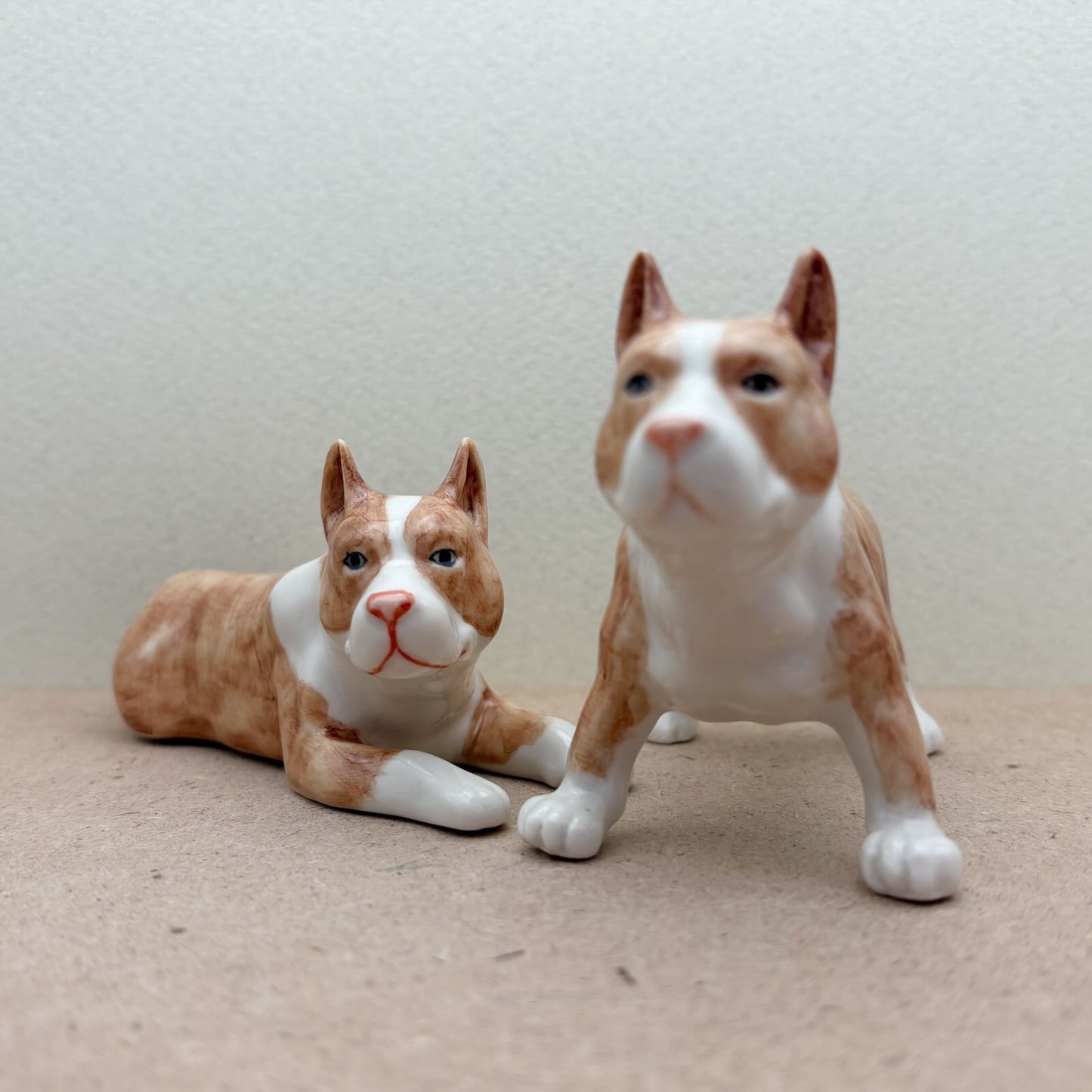 Charming Pit Bull Duo