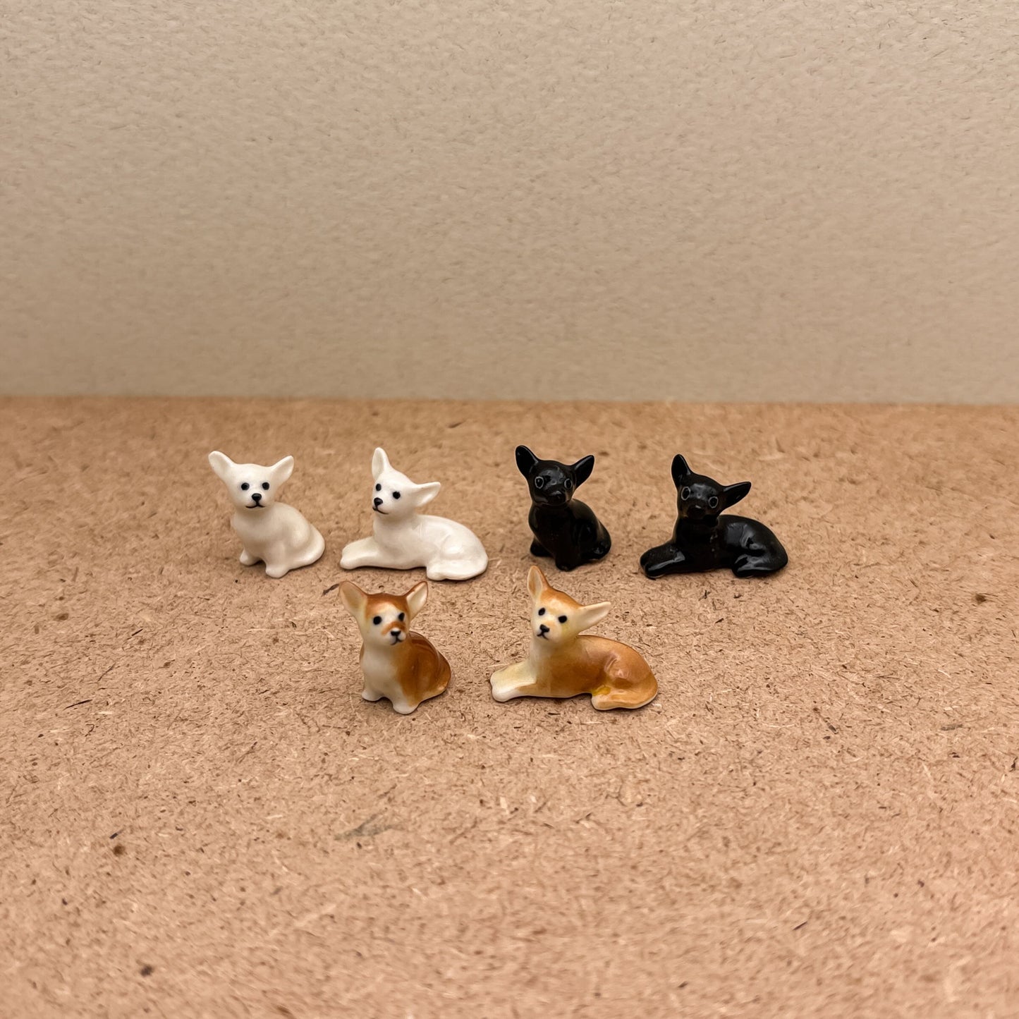2 Tiny Chihuahua