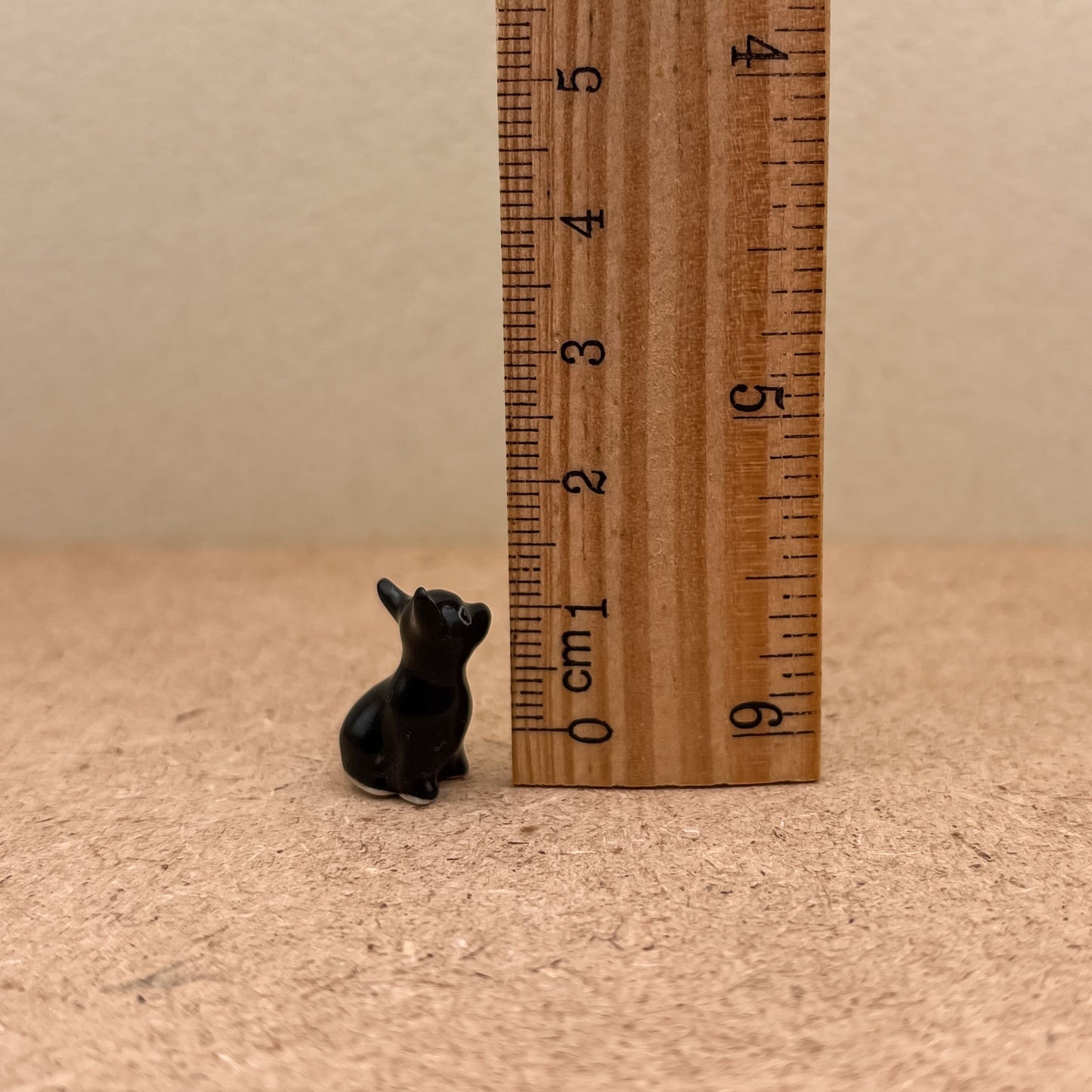 2 Tiny Chihuahua