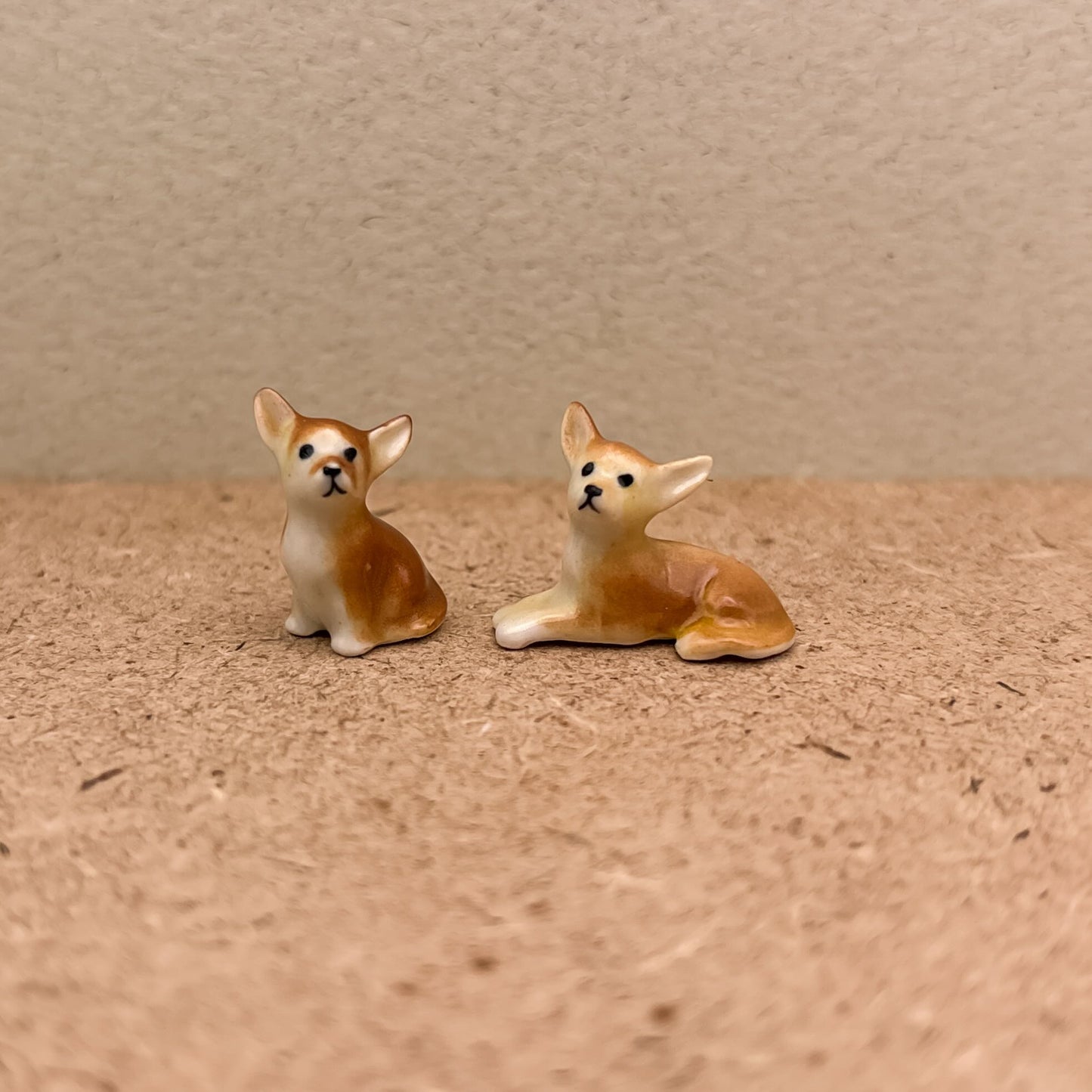 2 Tiny Chihuahua