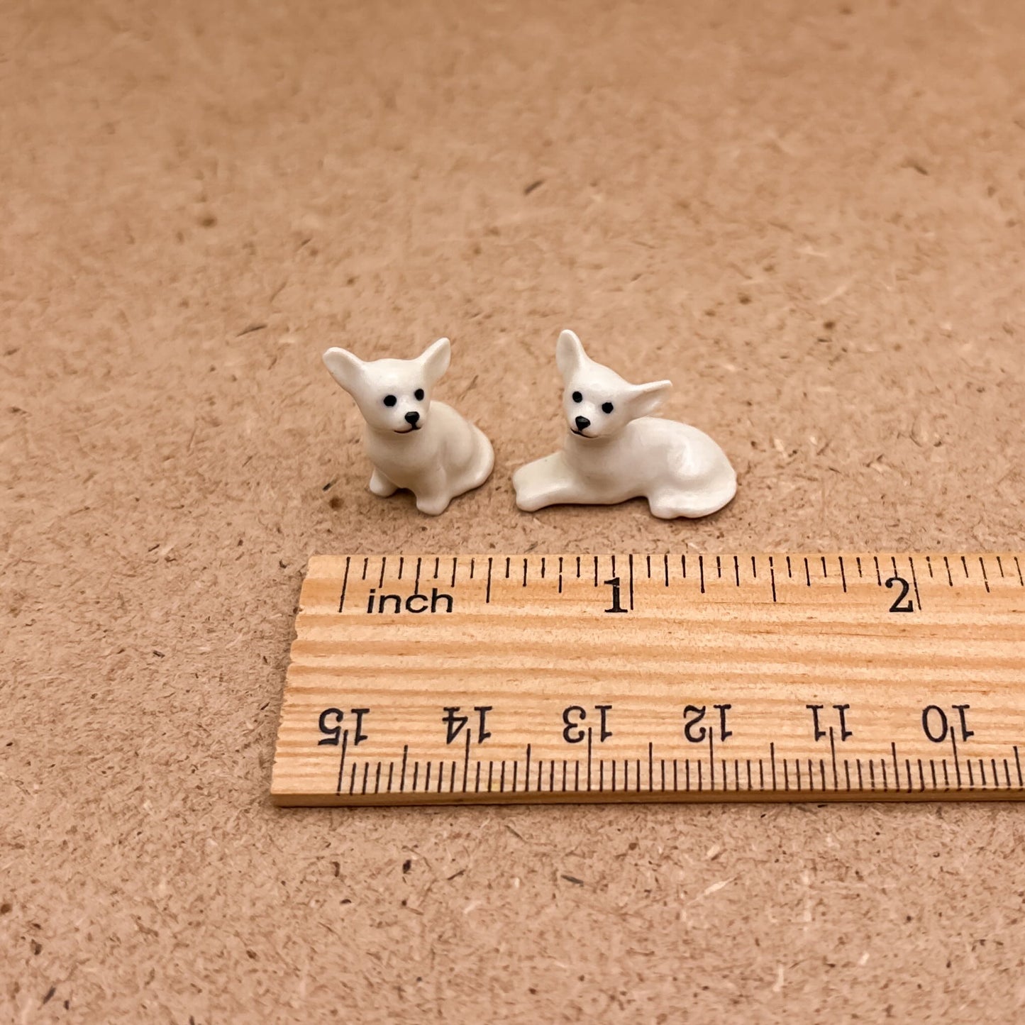 2 Tiny Chihuahua