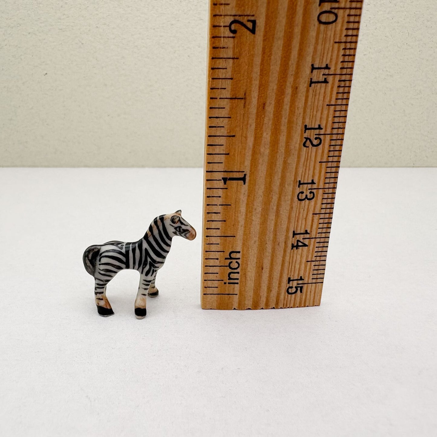Tiny Zebra