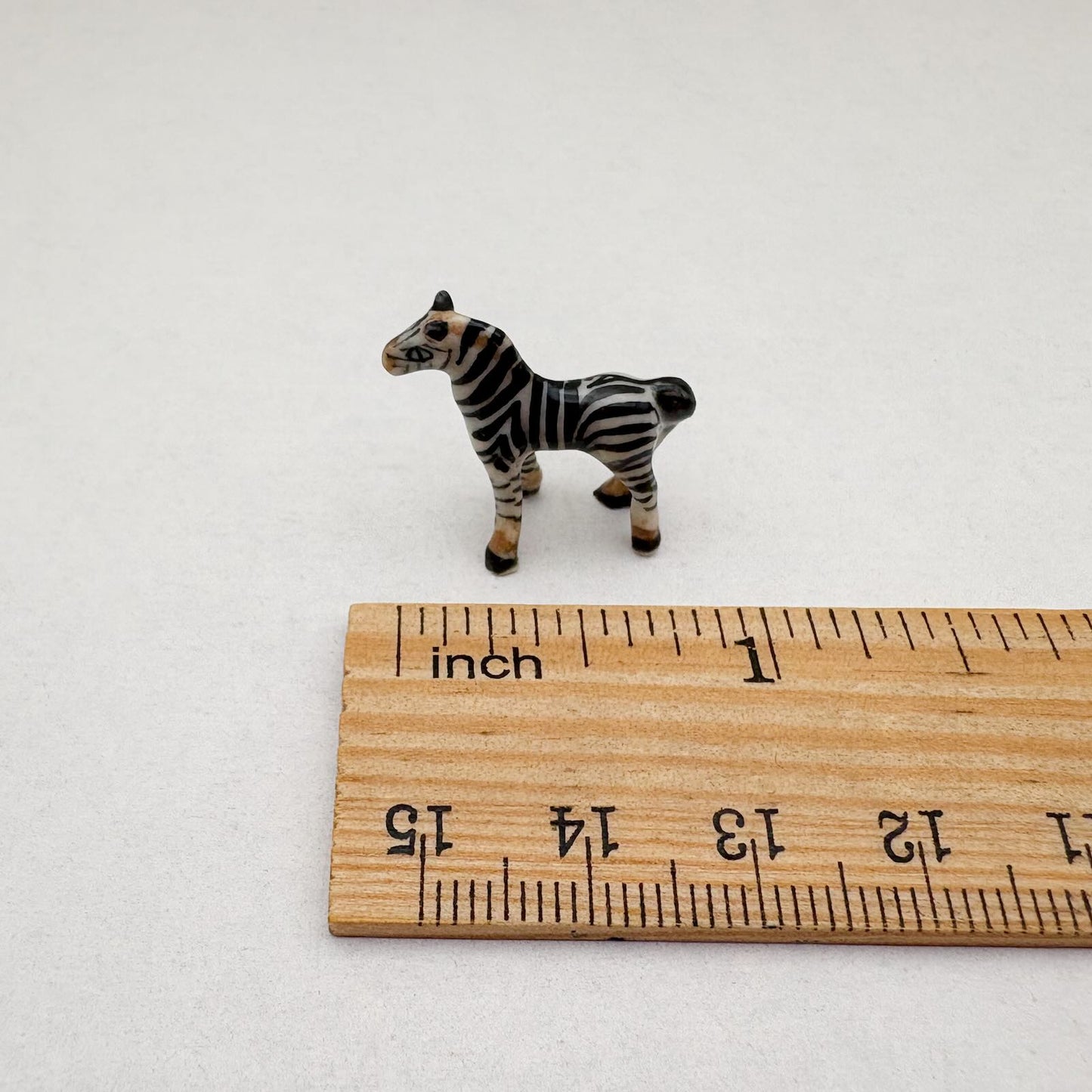 Tiny Zebra